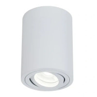 Накладний точковий світильник OLEDIM TS33W ALU GU10 IP20