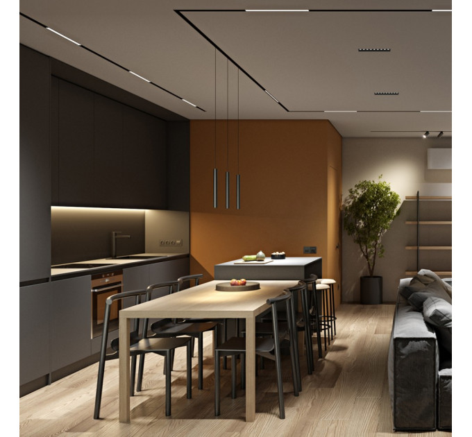 IN_LINE LINEA 205, L205mm, W24, 5mm, H48mm, LED 6W, 3000К, чорний (06.2050.6.930.BK))
